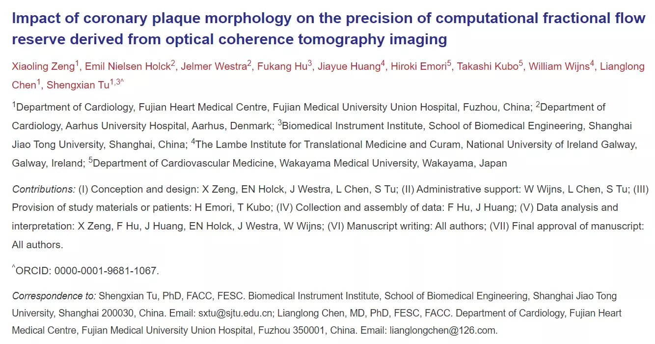 Impact of coronary plaque morphology on the precision of computational fractional flow reserve derived from optical coherence tomography imaging