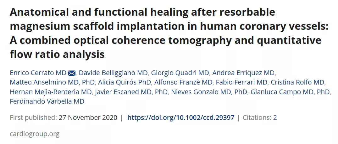 Anatomical and functional healing after resorbable magnesium scaffold implantation in human coronary vessels: A combined optical coherence tomography and quantitative flow ratio analysis