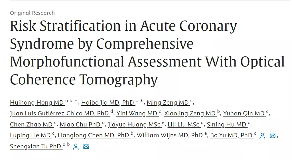 Risk Stratification in Acute Coronary Syndrome by Comprehensive Morphofunctional Assessment With Optical Coherence Tomography