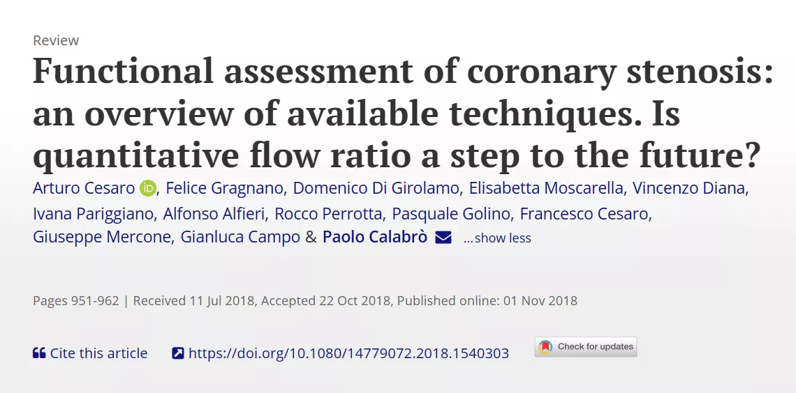 Functional assessment of coronary stenosis: an overview of available techniques. Is quantitative flow ratio a step to the future?