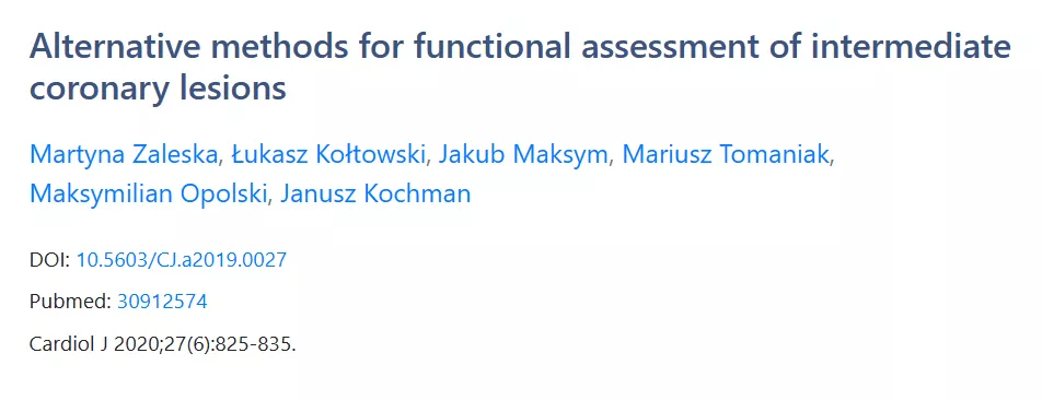Alternative methods for functional assessment of intermediate coronary lesions