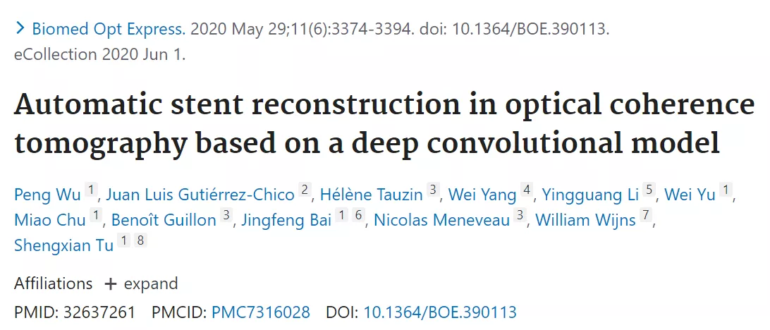 Automatic stent reconstruction in optical coherence tomography based on a deep convolutional model